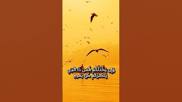 أجمل تلاوة لآية النصر 📖 إن ينصركم الله فلا غالب لكم