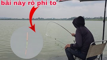 Câu đài tự nhiên hành trình săn cá rô phi bãi mới nhiều cá to | câu cá tự nhiên 