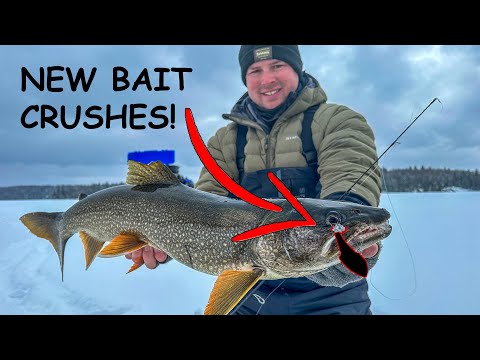 New bait CRUSHES Lake Trout! 