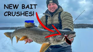 New bait CRUSHES Lake Trout!