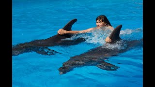 Опасные трюки с дельфинами