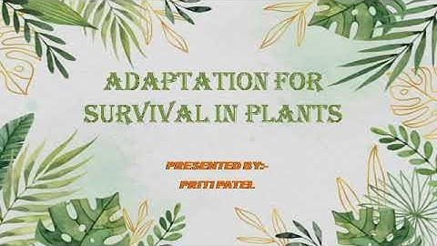 Science /Class 4/Ch 2/Adaptation for survival in Plants /Part 2