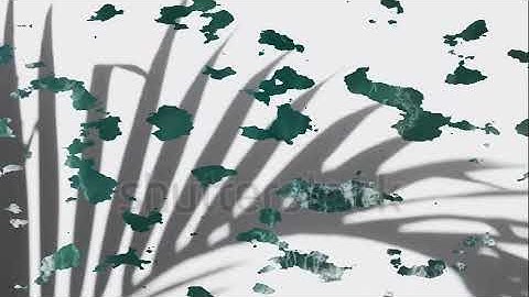 سوره القلم للشيخ وليد جابر  من الايه ( 34 : 52)