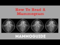 How To Read A Mammogram