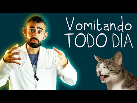 Vídeo: Vômito em gatos e cachorros