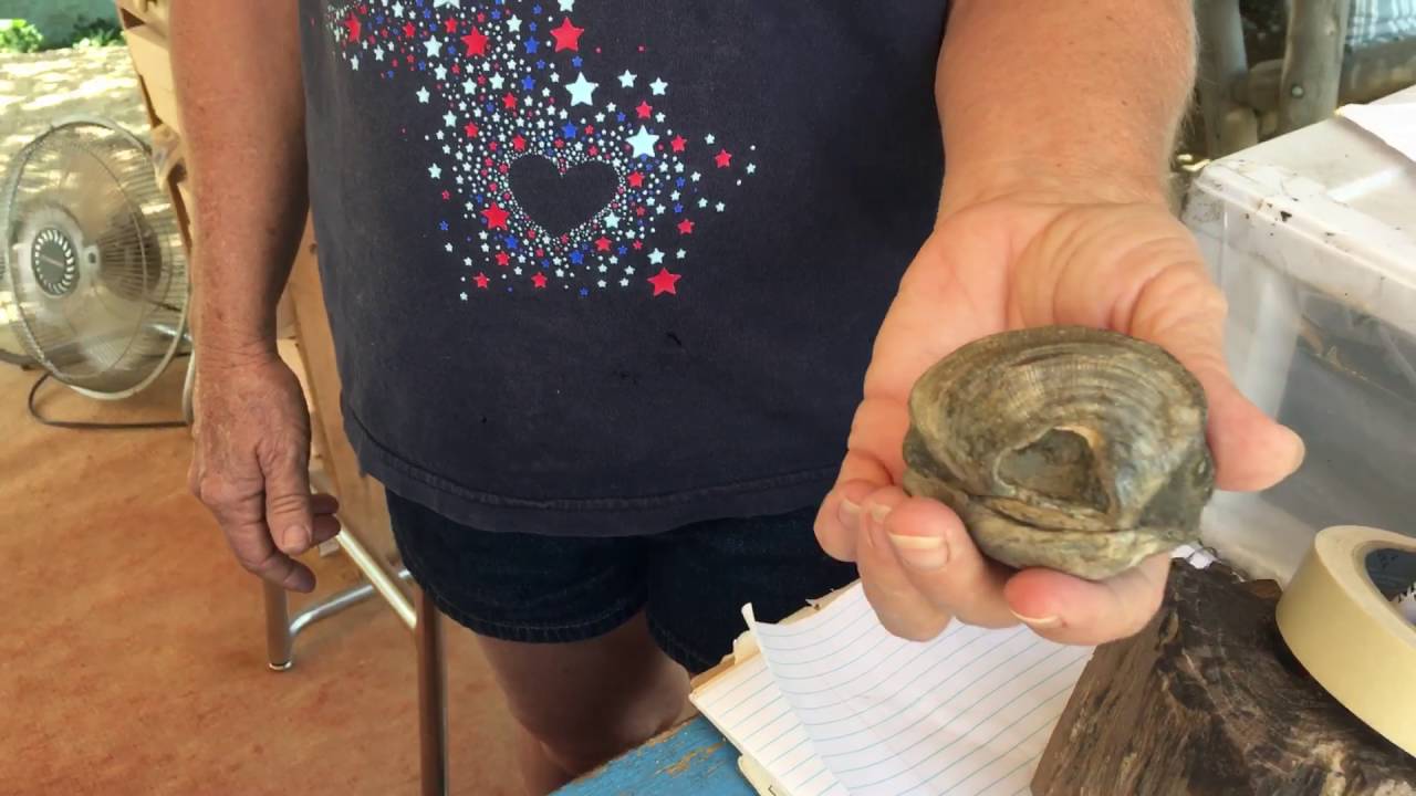 Joe's Rock shop, Orderville, Utah. Part 2