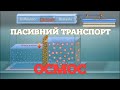 Пасивний транспорт. Осмос. [CanalDivulgación]