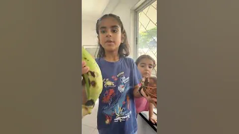 How to make fufu! #aveerandzeya #fufu #fufuandsoup #recipes #ghana #kids #mraveer #cookingvideo