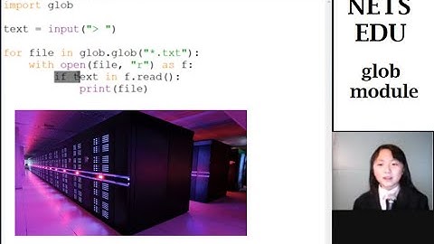 Python Script Tutorial Series 1 glob Module List all files containing a string 程序列出包含特殊字符串所有文件