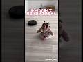 ルンバから足だけ逃げる赤ちゃん #baby #赤ちゃん #掃除 #0歳 #実況ベイビー