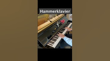 HAMMER KEYBOARD