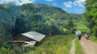 Kecapi Suling Sunda Termerdu Dengan Suasana Pedesaan Jawa Barat Dari Jalan Kampung Di Talegong Garut