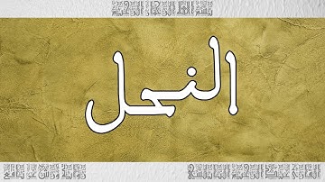 القرآن القارئ عبد الرحيم النابلسي سورة النحل 016