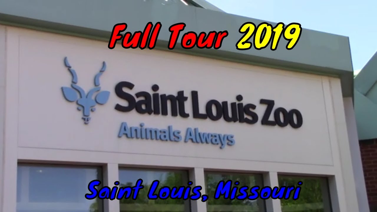 st louis zoo tour