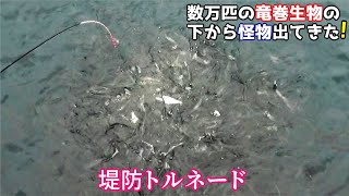 数万匹の竜巻生物の下にダンゴを落としたら怪物が出てきた(470話目)
