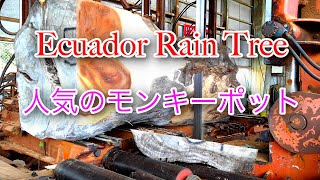 人気のモンキーポット製材動画です。Ecuador　Rain Tree