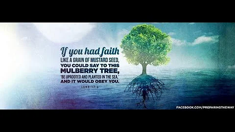 Sizing up Faith