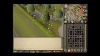Ranarr Farming Guide