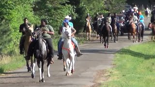 2024 Marietta Texas Singlefoot and Racking Horse Show and Trail Ride