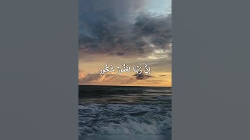 قرآن / سورة فاطر  ( ٣٥ ) #المصحف #عمر_بن_ضياء_الدين