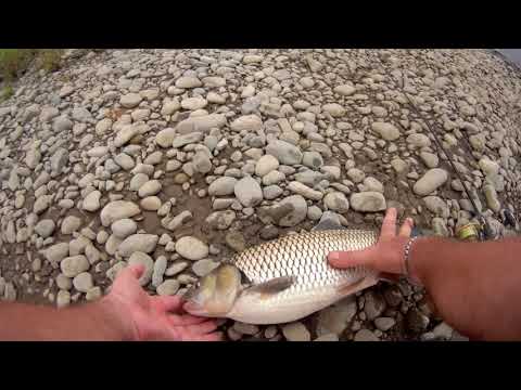 # 1.  chub fishing, ловля голавля, სპორტული თევზჭერა ხელნაკეთ ვობლერებზე - ნაწილი 1....