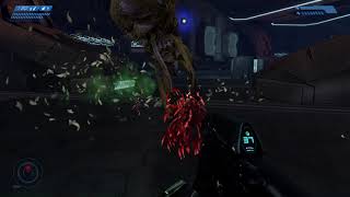 Halo but I Torture Myself