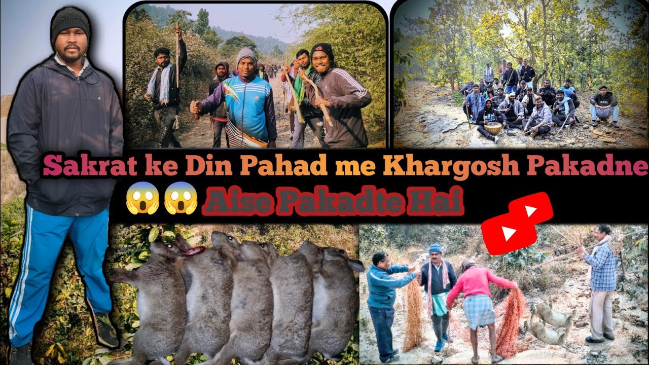 Sakrat Ke Din Pahad Me Khargosh Pakadne Gaye || झारखंड शैली में खरगोश पकड़ना🐇😱 