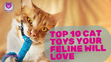 Top 10 Cat Toys Your Feline Will Love | Ultimate Guide