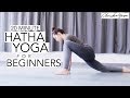 Hatha Yoga for Beginners | 20 Min Gentle Beginners Yoga Class | ChriskaYoga