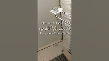 يَا عِبَادِيَ الَّذِينَ آمَنُوا❤️‍🩹 | سورة العنكبوت الاية 56-57 #قرآن #تلاوة #قران #لا_للكيبوب