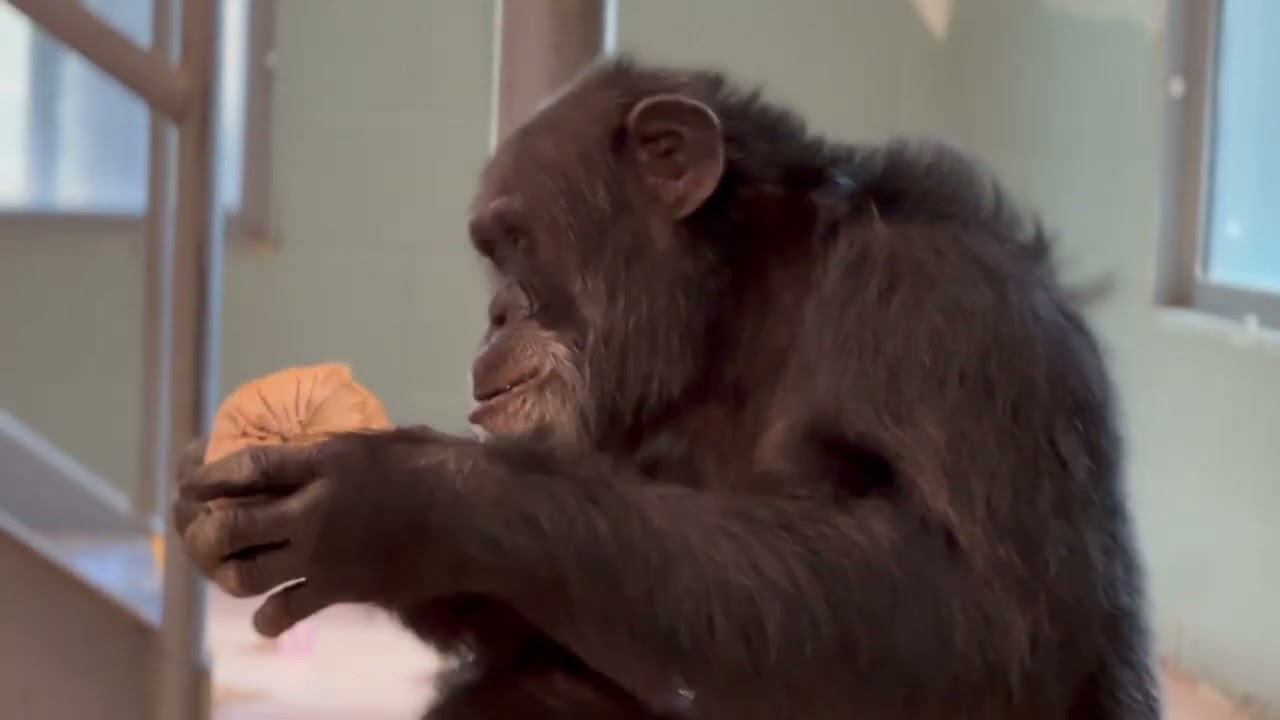 Three Year Arrival Anniversary