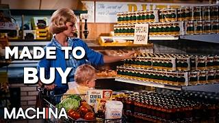 The Factory System That Created Consumerism | How Factories Changed the World