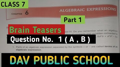 Dav Class 7 Maths Chapter 6  Brain Teasers | Algebraic Expressions | @madhubanclasses  #davmaths