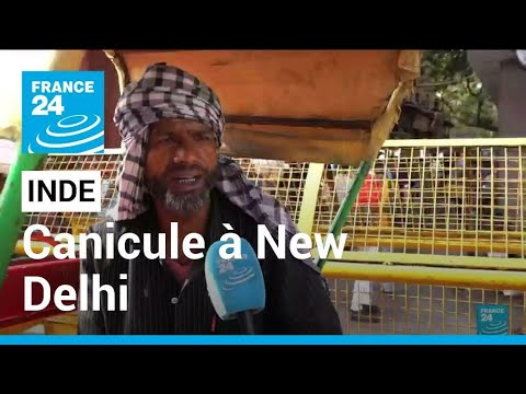 Inde  plus de 40 degrs  New Delhi inhabituel pour un mois davril  FRANCE 24
