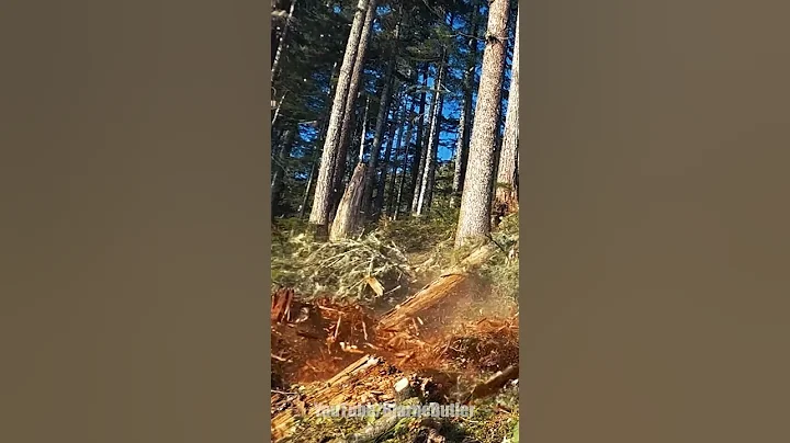 slo-mo | TRIGVI.com - DayDayNews