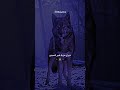 Dak Tik Tak Hk Lyrics 