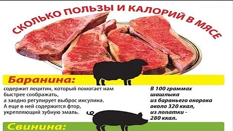 СКОЛЬКО ПОЛЬЗЫ и КАЛОРИЙ в МЯСЕ  /  ЧТО ВЫБРАТЬ для ШАШЛЫКА ?