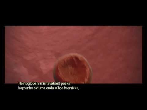 Video: Insuliini Mõju Organismile