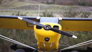 Super Cub, Piper Pacer shoot out!