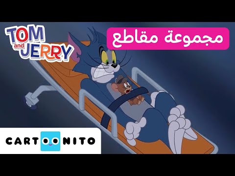 توم وجيري مجموعة من المقاطع للمحقق ين توم وجيري كارتونيتو