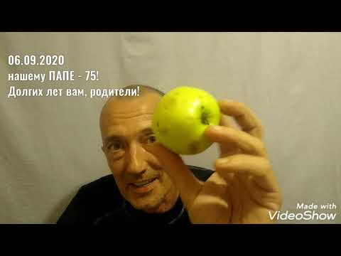 Панкреонекроз панкреатит яблоки