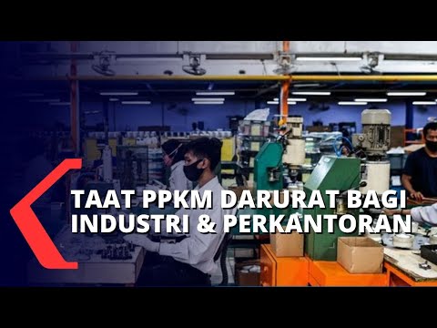 Video: Doktor Imunologi - Ulasan, Penerimaan, Perundingan