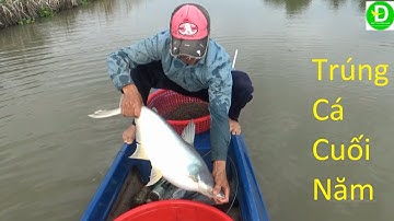 320  Giăng Câu Cuối Năm Trúng Cá - Làm Món Ăn Cuối Năm Vui Cùng Anh Em ( P1 ) | Đất Phương Nam