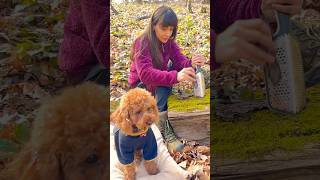 🔥Survival Skills #survival #outdoors #bushcraft #campfire #camping #asmr #solocamping