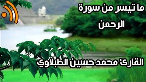 ما تيسر من سورة الرحمن _ محمد حسين .