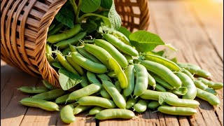 Bakla Nasıl Ekilir? Evde Ve Bahçede Lezzetli İri̇ Bakla Yetiştirme Rehberi Resimi