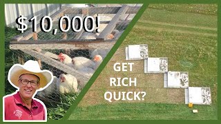 How Much Does it CO$T to Farm Like Joel Salatin? A Real World Example of Pastured Poultry Profits