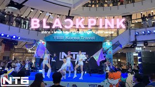 NT6 cover BLACKPINK - INTRO +Shut Down + PTSV + HYLT + Pink Venom @K-POP Cover dance By KTO 2024(AU)