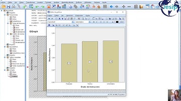 Tema 4: Gráficos en SPSS