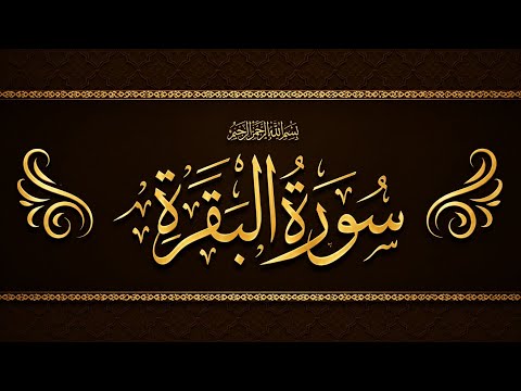 Surah Al Baqarah ! A Powerful Recitation For Heartfelt Peace And Protation #baqarah